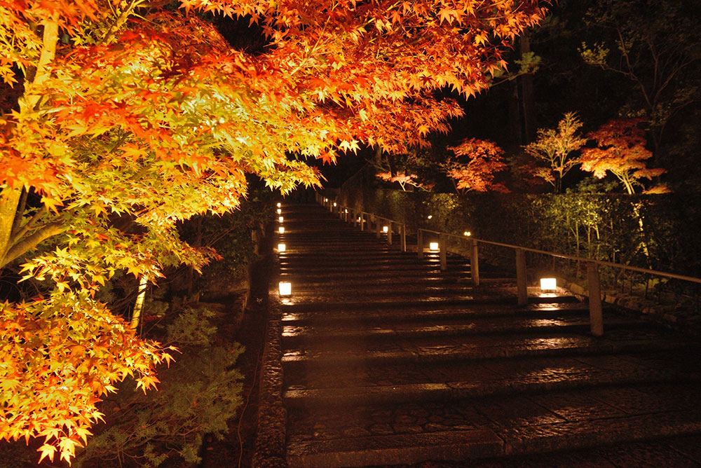 秋の京都 紅葉が綺麗な観光名所近くのマンスリーマンション 京都のウィークリー マンスリーマンションに関するお知らせ